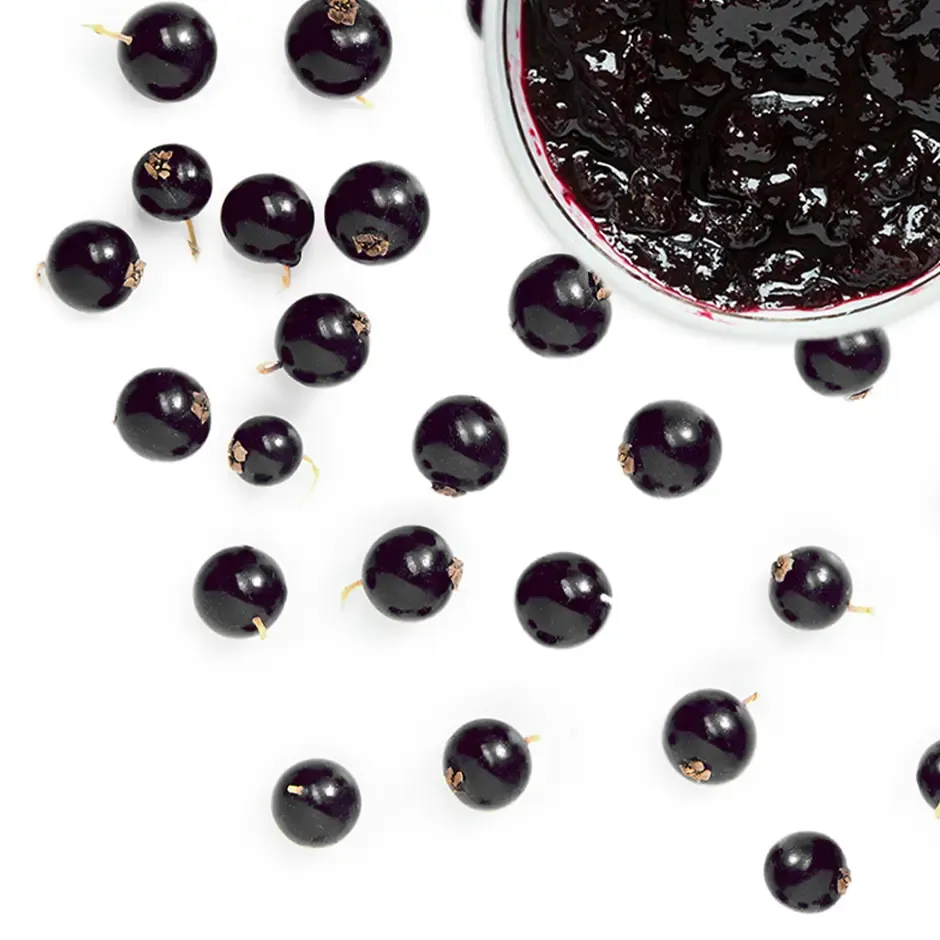 чорна смородина