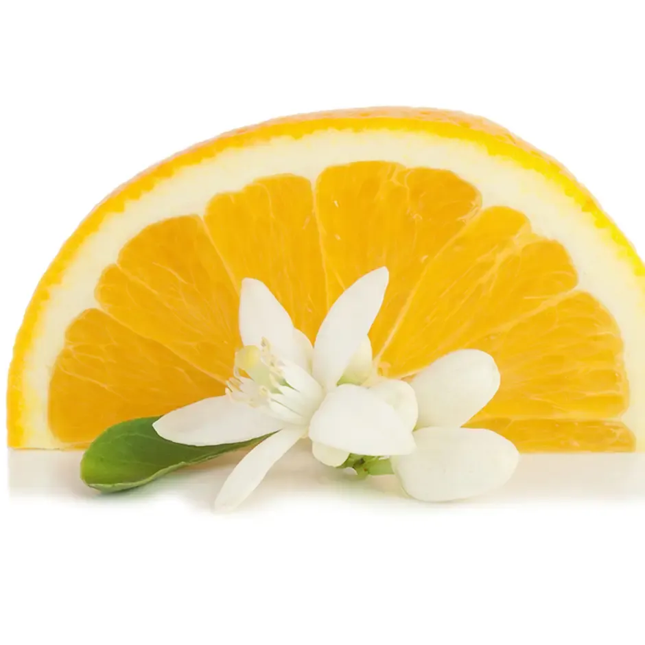 квітка апельсина